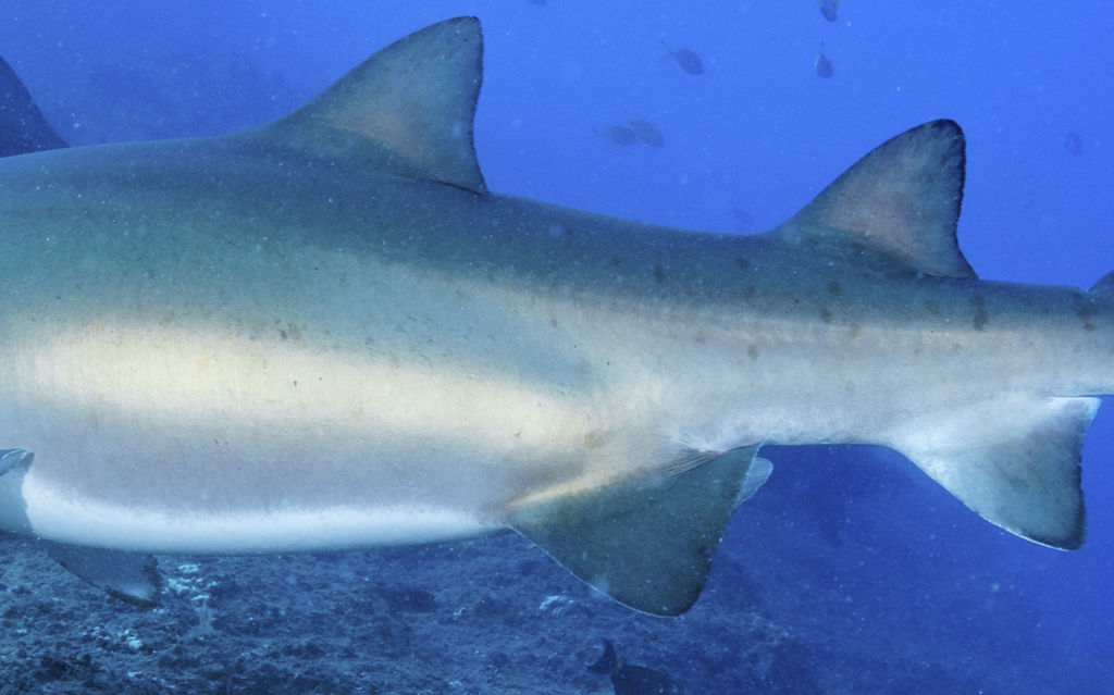 9bb9b923-eb2f-4d9f-9b8e-0a8e39c4c8ae