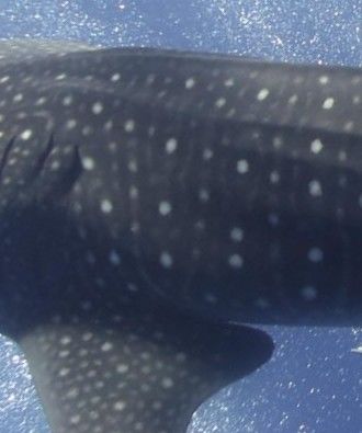 6e66aa6f-58aa-4104-b837-65e9ebef2062