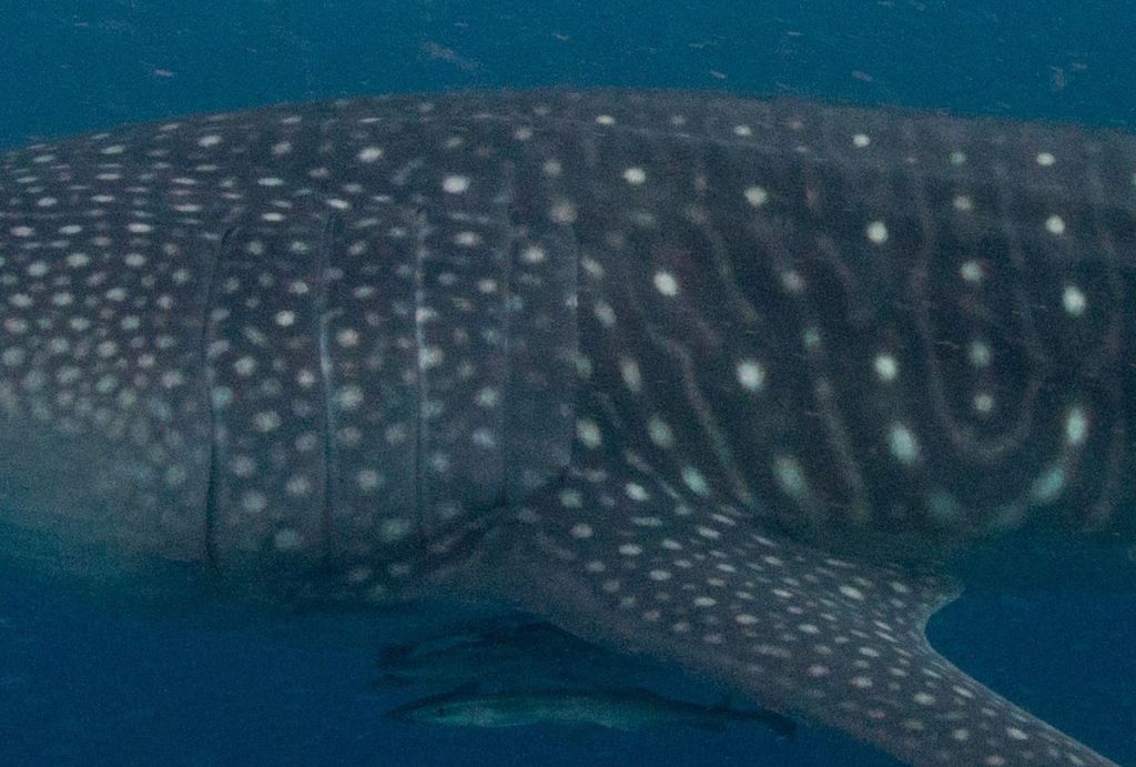 fe48e566-6252-436b-a773-d2232ea07399