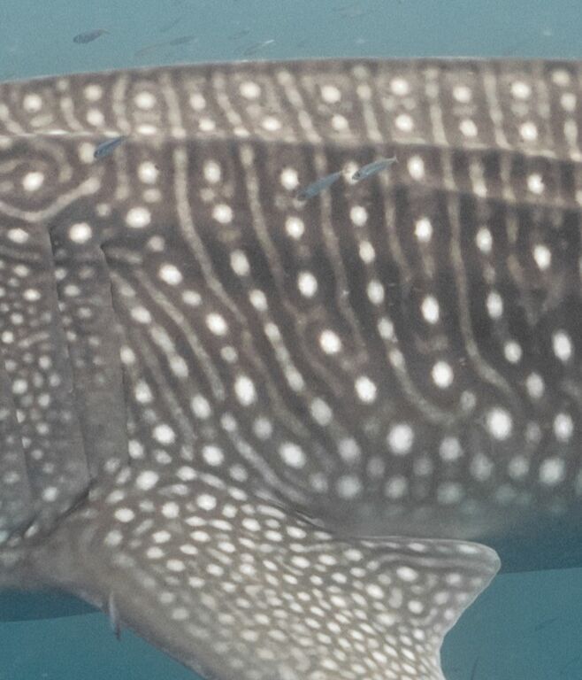 b515e40f-ae5f-40da-a04f-a36d15ba0aaa