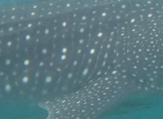 6bb35f61-b24e-4b6d-9b2e-94a9e6c22c82