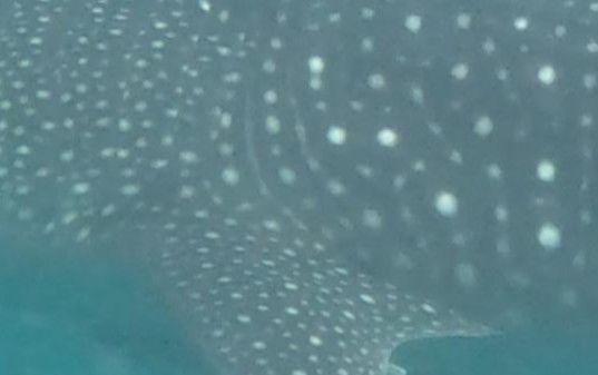 6bb35f61-b24e-4b6d-9b2e-94a9e6c22c82