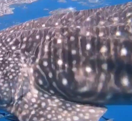 351c0f4c-2fe2-4398-ba5e-26add9f78aee