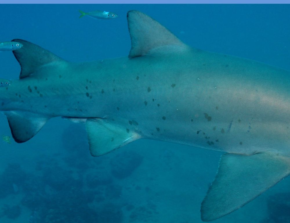 d32ccc4f-db98-4fed-833d-672dcead86cc