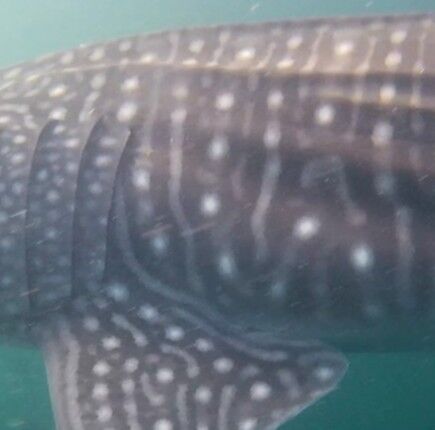 2062464b-9f70-4a3d-93b4-834b4bd4946d