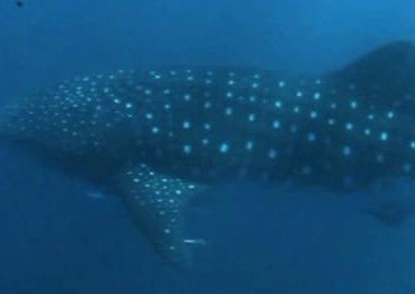 5b8b8cdd-668f-4632-bb73-b0892d72f87e