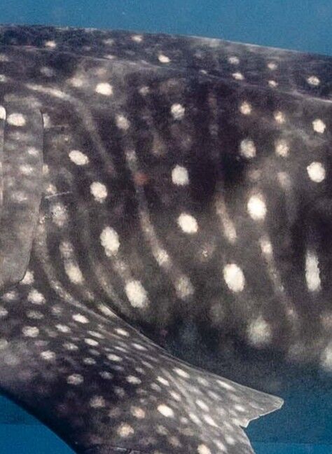 7c8896d6-6902-4674-8b60-31eeae6d0b0e