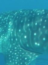 d6679044-9f92-4b76-a010-d3b7d2736e58