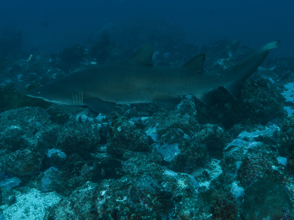 f2189993-56c1-4f57-8bbd-160928eb9928