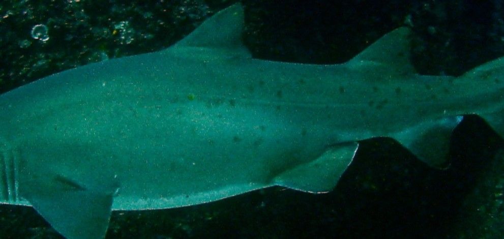 eefe48e4-37d7-4d32-984e-0b1f9c89f5d4