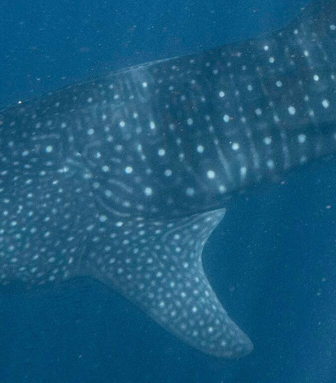 6526bf0d-6917-4eb9-9011-e36874d0ee4b