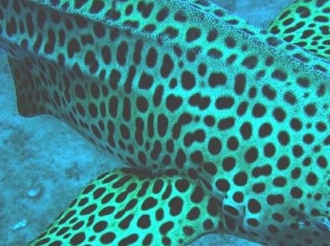 2ed9c9c6-a280-4b18-90bd-1d7667d0e59a