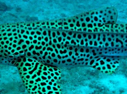 2ed9c9c6-a280-4b18-90bd-1d7667d0e59a