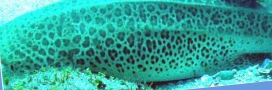 127834c3-5135-4ef0-b743-83840c69b8cc