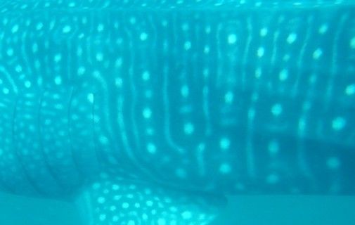 aa25a84e-27d1-4bd4-9bcf-77b5be580c6d