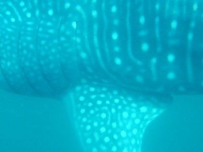 aa25a84e-27d1-4bd4-9bcf-77b5be580c6d