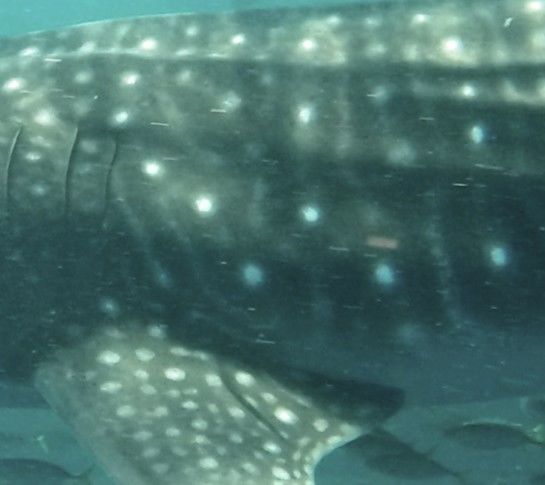 53d96a15-09db-4e71-b379-5a333d32bc95