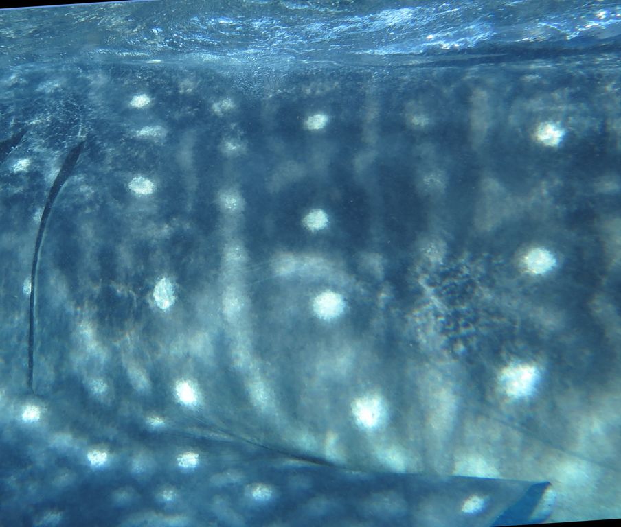 7af86fc5-e75f-4be1-aa10-77972c3ee7dd