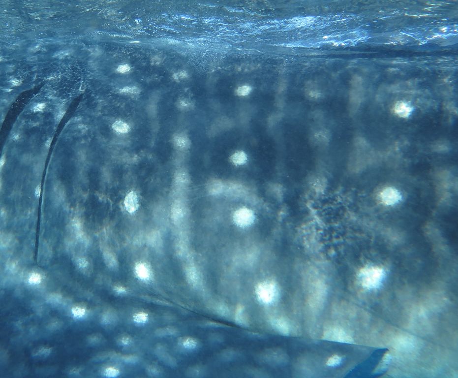 7af86fc5-e75f-4be1-aa10-77972c3ee7dd