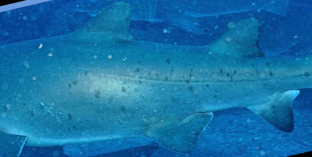 8df48e97-5472-47e2-80ac-18809824d909