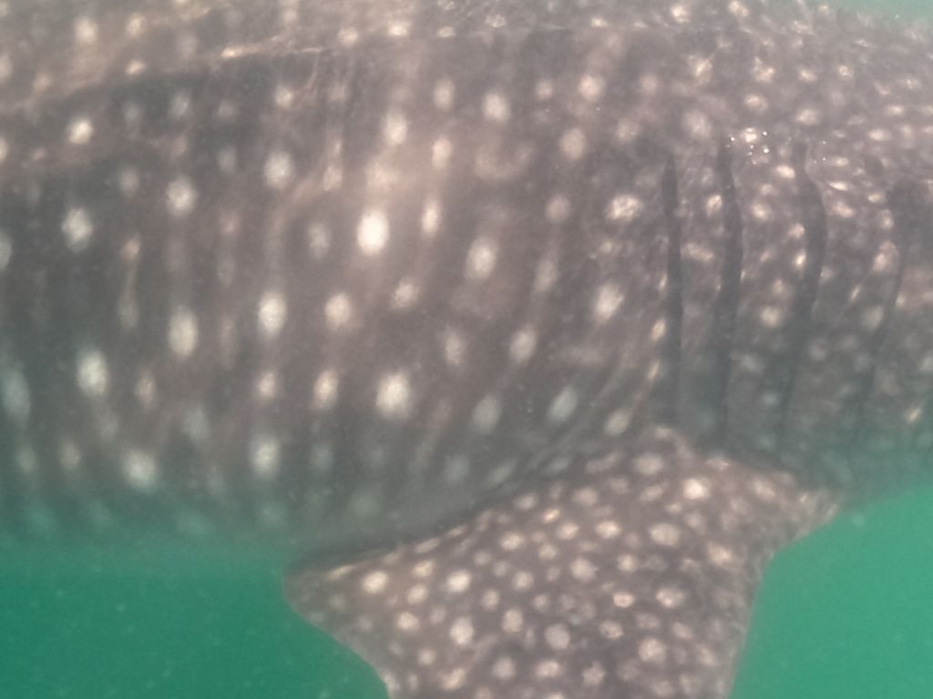 1cacf088-755f-4aac-9457-8215b6781468