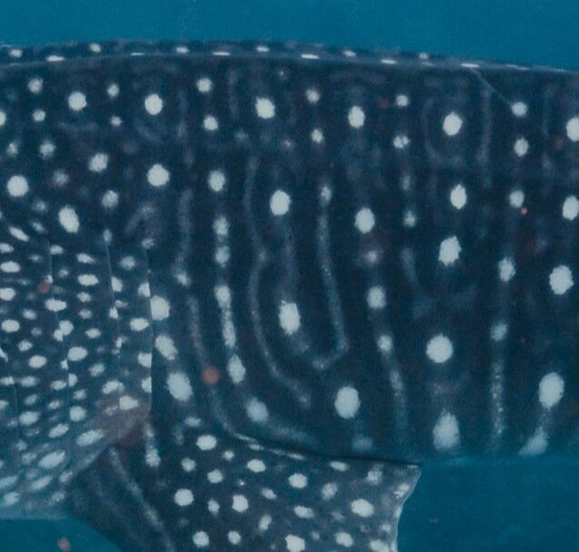 11214533-4123-4d81-a651-95b33ac8ffb6