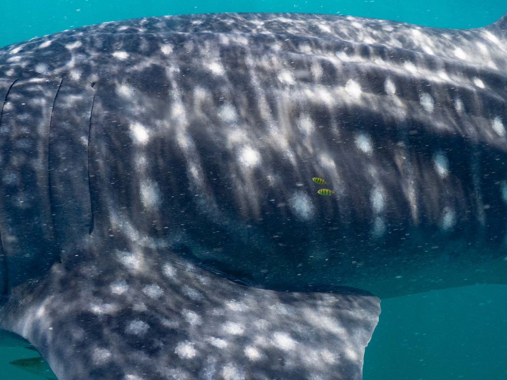 5cc20e7a-8b68-43f3-ab1c-8417579afd5b