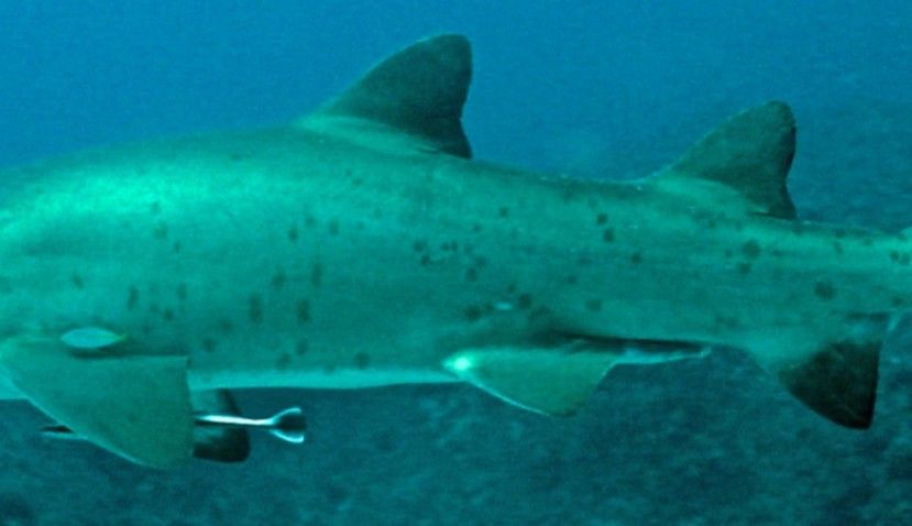 7063ab76-539a-45ad-83a3-52dae01a5657