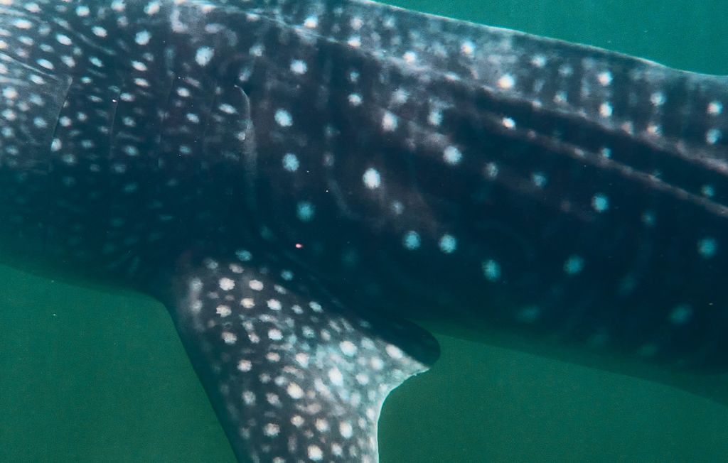 b81ac926-c45c-40fe-8195-92da5bd8a7fb