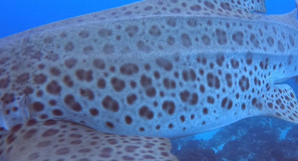 23db88a1-13d5-4fbf-ae7e-849ffbb92b82