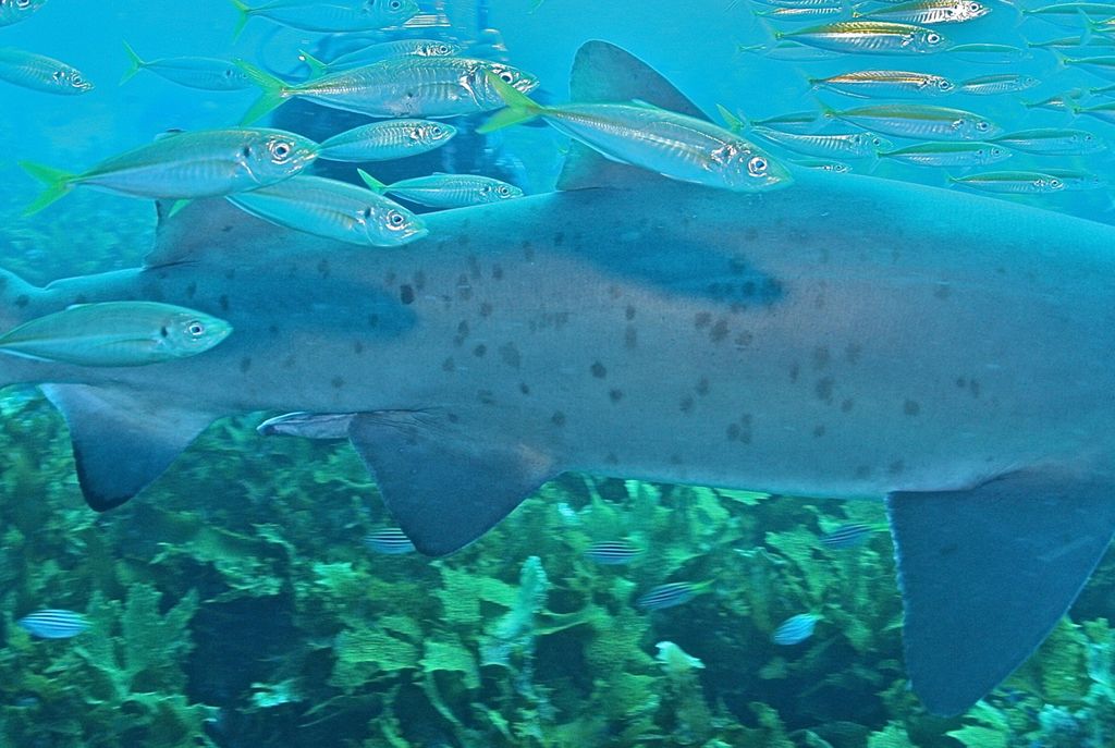 63a3615b-13b1-4483-9960-3b8786ff907a