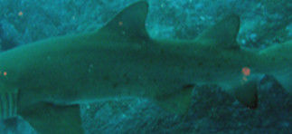 9367b118-dd1d-4f6c-bf6f-69671f01c09e