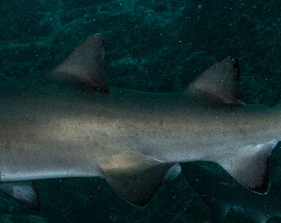 ecf99a2f-9c67-4111-9832-96d93cc7e6f3