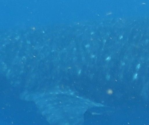 83f12851-5e22-45d5-a8fc-b6e3afc9686f