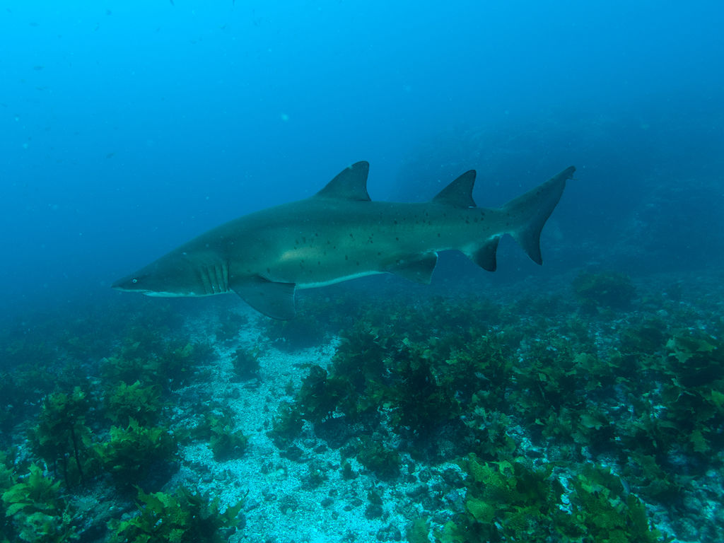 9cf401f4-1b7e-4f34-b5c5-039e087ebed0