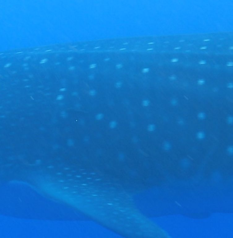 26bc2ab8-3ad4-41ff-a05e-2b8d7d80ba91