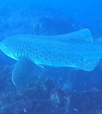 cdff9224-9655-46f4-9a37-3a9837e0a919