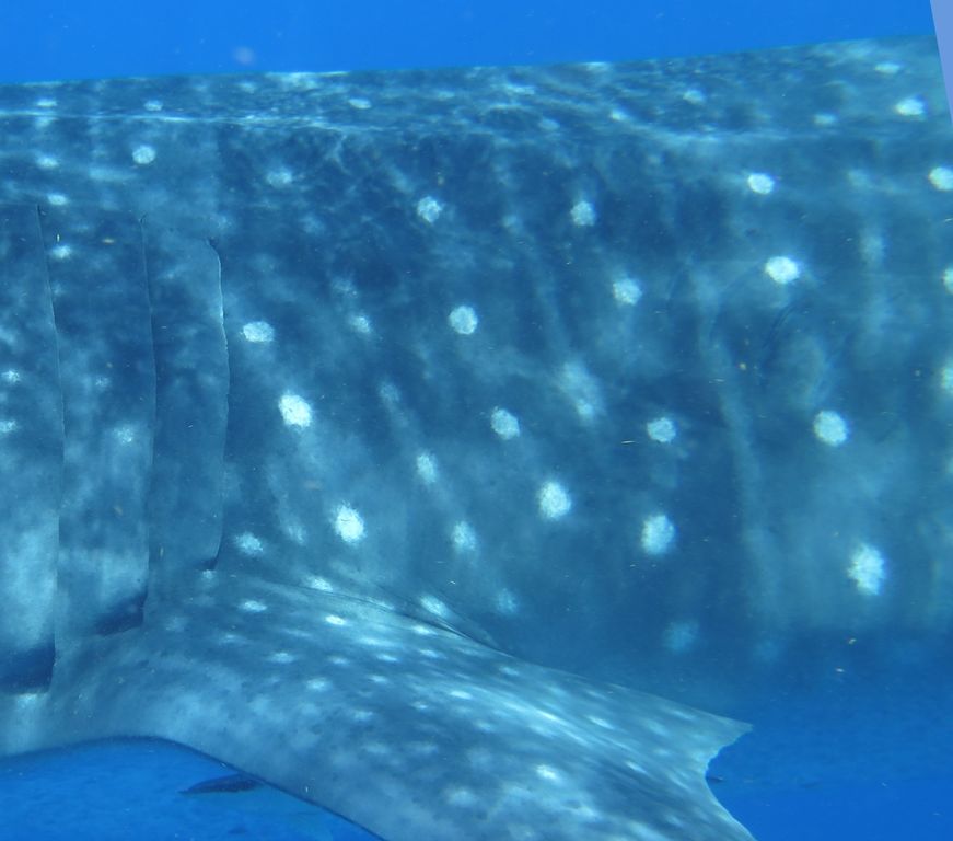 5749948c-ffc6-4117-a58f-4aaf32b5d02f