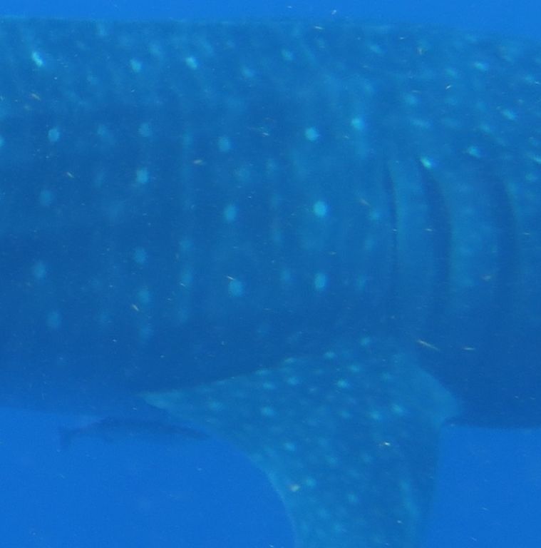 5749948c-ffc6-4117-a58f-4aaf32b5d02f