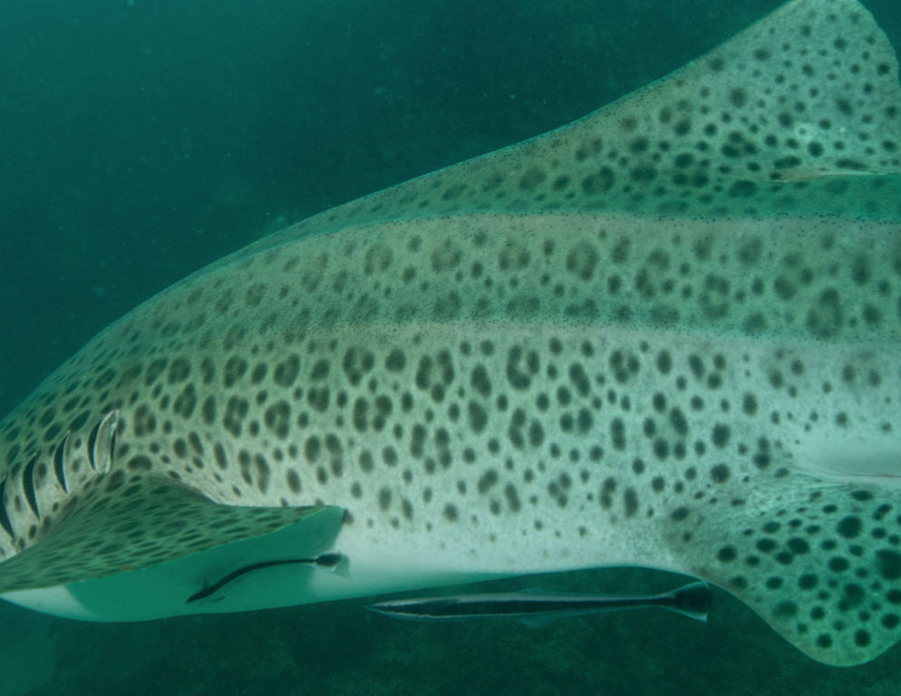 9eb2221a-709e-43d0-81b9-3ae6fc30a12d