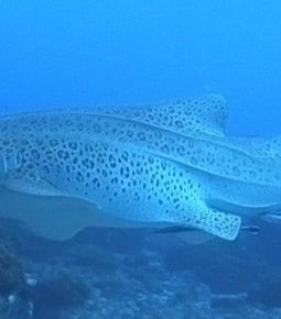 26d5be9a-1dc7-4d89-bb5e-0cb38a025eb8