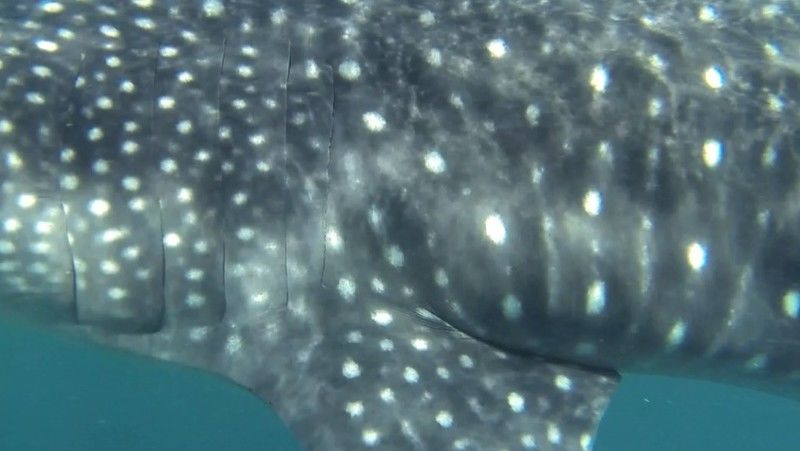 a8ec368c-df33-4235-8210-ce00780a634b