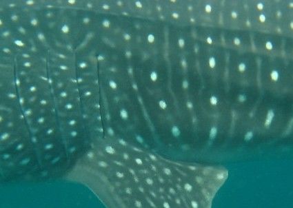 cc884c45-0a36-40b3-b89f-24c942a020e2