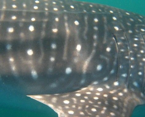 cc884c45-0a36-40b3-b89f-24c942a020e2