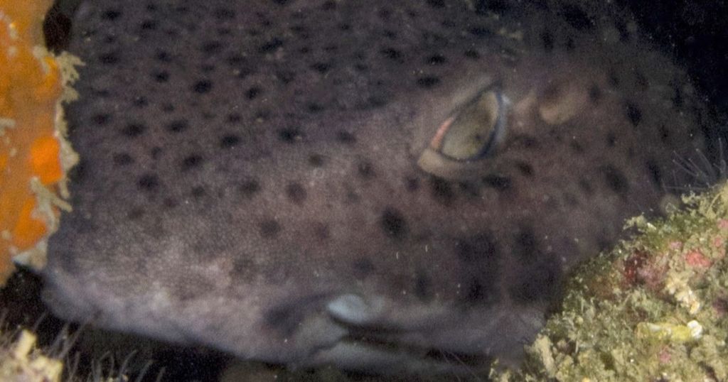 248fcec3-14d2-43b7-b909-407cb3dda696