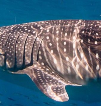 77a8bbd8-4066-4cc5-a312-aad693f59e07