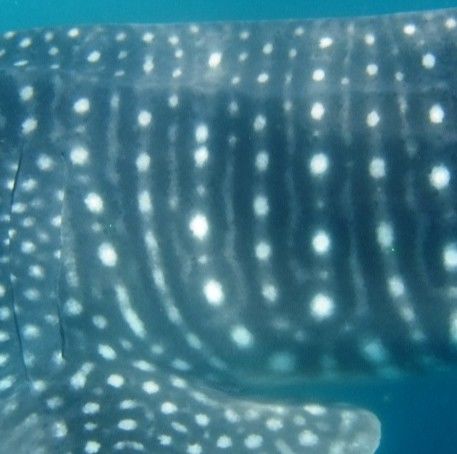 4ff16873-11bf-4c07-90d6-4a30cc3715ec