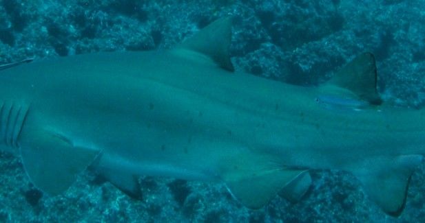 76a5e85e-301d-4ed2-a689-6059622a31ba