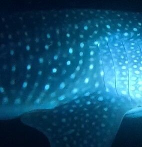 d30fd165-0bbf-40b1-8778-eddcc6cd7b2e