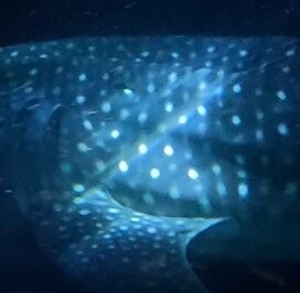 d30fd165-0bbf-40b1-8778-eddcc6cd7b2e